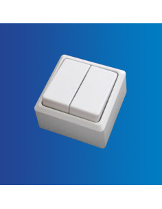 BASE FIJA DOBLE INTRRUPTOR SIN TAPA CJ120 [6W9022]