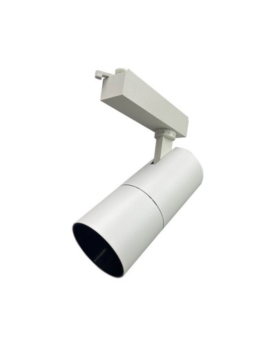 PROYECTOR LED CARRIL 30W 4200K LUZ NATURAL