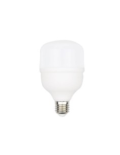 BOMBILLA BOLA LED 28W E27 2950LM T102*160 6500K LUZ...