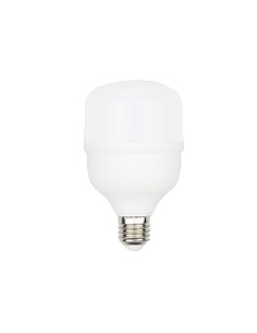 BOMBILLA BOLA LED 38W E27 4050LM T117*179 6500K LUZ...