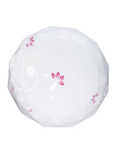 PLAFON DE LED PARA TECHO 18W 6500K [AD340DMG]