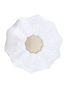 PLAFON DE LED PARA TECHO 24W 2500L 6500K [AD400O]