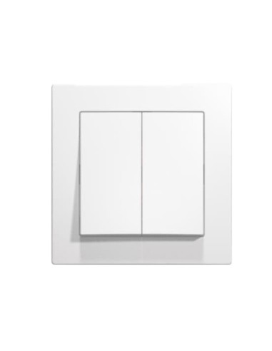 INTERRUPTOR DOBLE EMPOTRABLE  BLANCO CJ120 [6H1C210M]