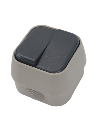 INTERRUPTOR DOBLE C/TAPA EXTERNA 16/250~ CJ72 [6H2B210M]