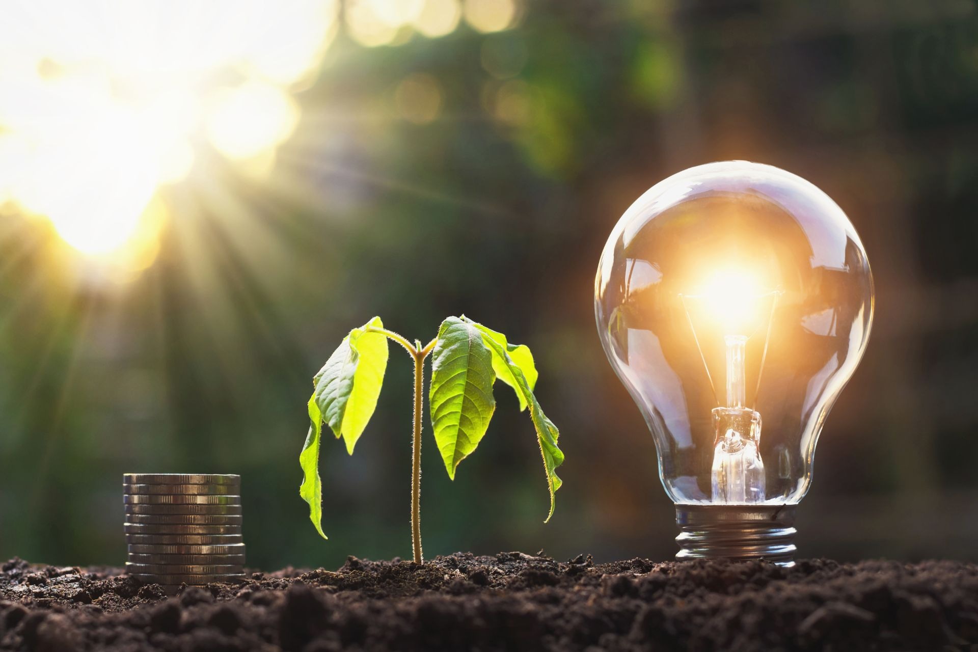 Consejos para ahorrar iluminación